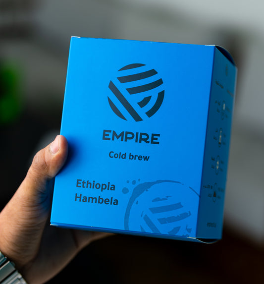 Ethiopia Cold Brew Bag Coffee