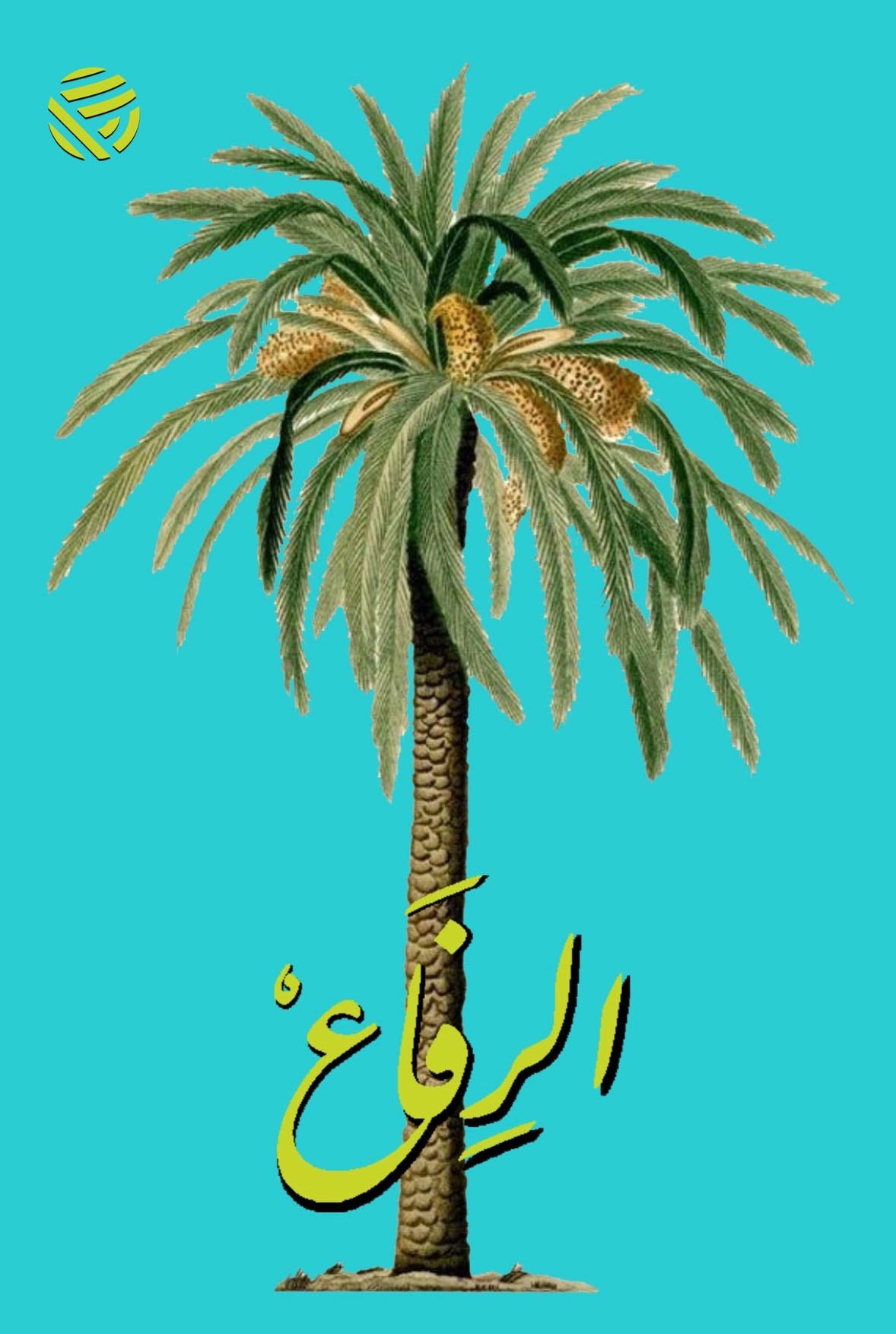 AL RIFAA - Decaffeinated Arabic Coffee